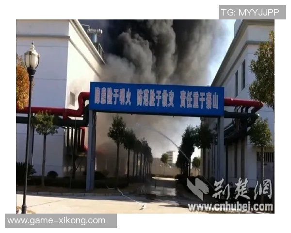 维尼修斯家中火灾调查揭示地下室桑拿房成起火源头